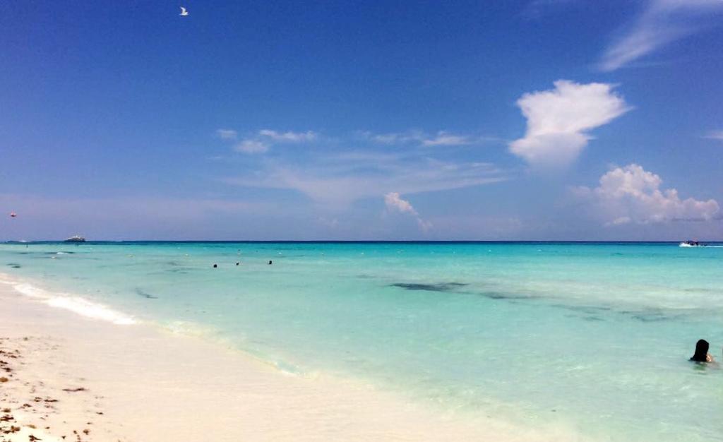 Luxury 5Th Avenue Menesse 32 Lägenhet Playa del Carmen Exteriör bild