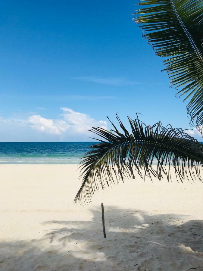 Luxury 5Th Avenue Menesse 32 Lägenhet Playa del Carmen Exteriör bild